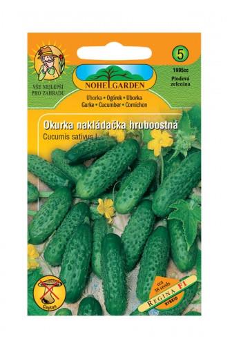 Okurka nakládačka Regina F1 1.5g