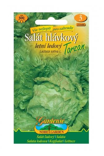 Salát hlávkový letní ledový Tarzan