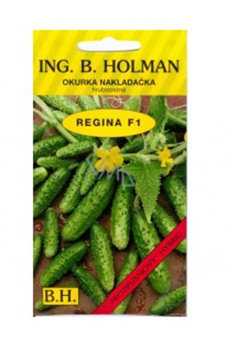 HOLMAN Okurka nakladačka hruboostná Regina F1 2,5 g
