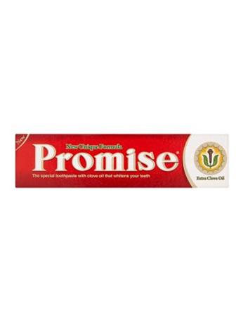 Promise mini zubní pasta s hřebíčkovým olejem 20 g