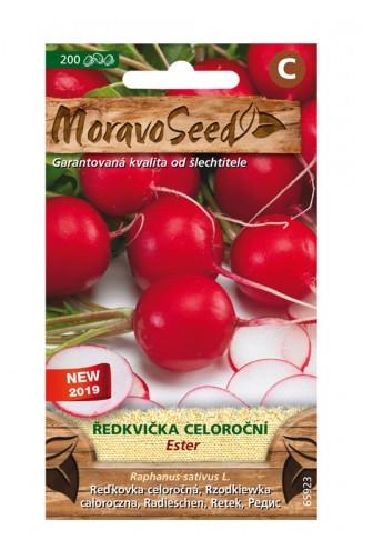 Ředkvička celoroční Ester 3 g