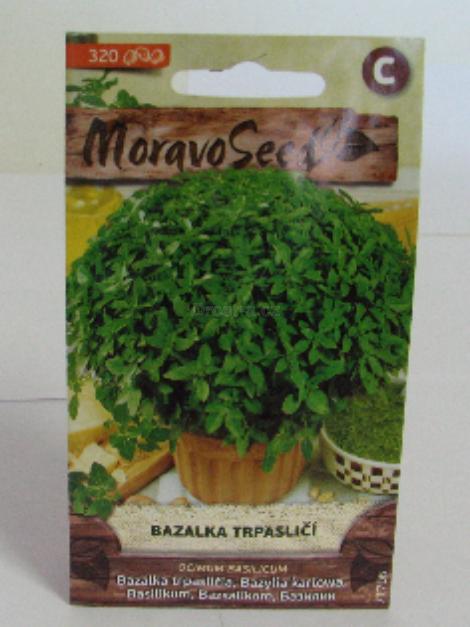 Bazalka trpasličí 0.6g MS