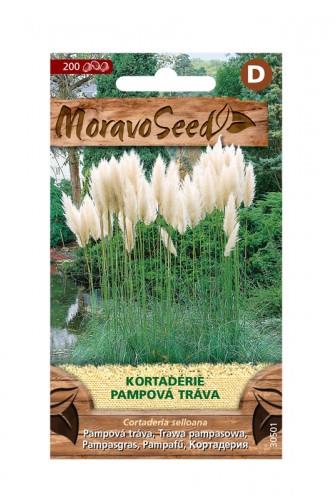 Cortaderie - Pampová tráva bílá 0.05g