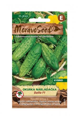 Okurka nakládačka Dalila F1 1.5g