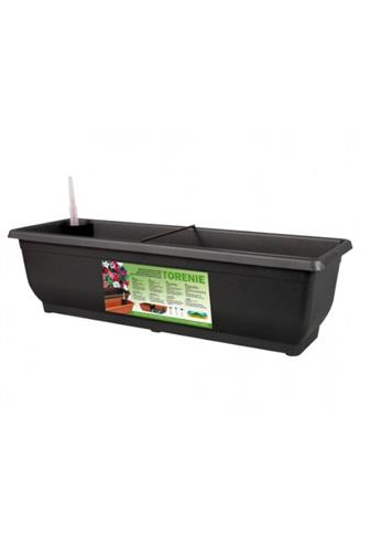 Truhlik samozavlažovací Torenie 60 cm hnědý