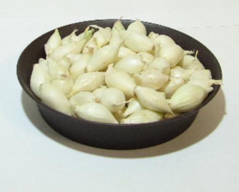 Cibule sazečka Snowball bílá (vážená)