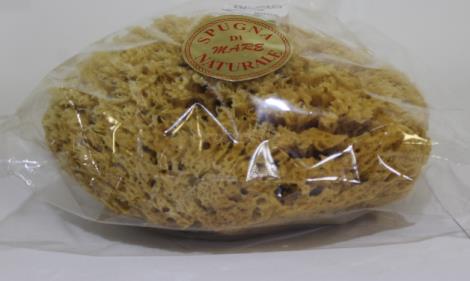 Mořská přírodní pravá houba 