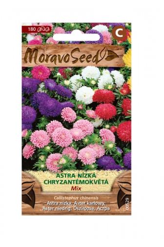 Astra nízká chryzamtémokvětá mix 0.6g