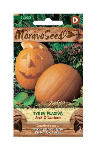 Tykev plazivá Jack O´Lantern 7 semen
