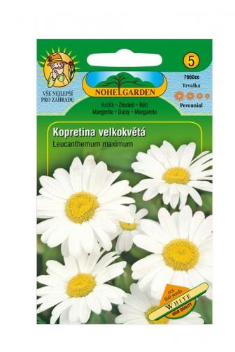 Kopretina velkokvětá bílá 160 semen