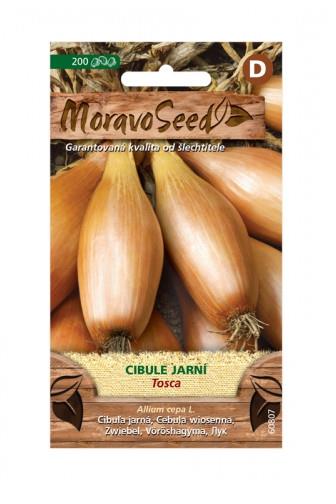 Cibule jarní Tosca 200 semen