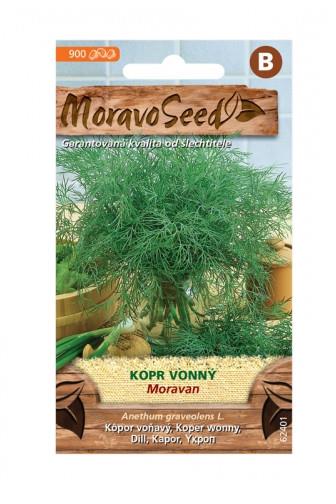 Kopr vonný Moravan