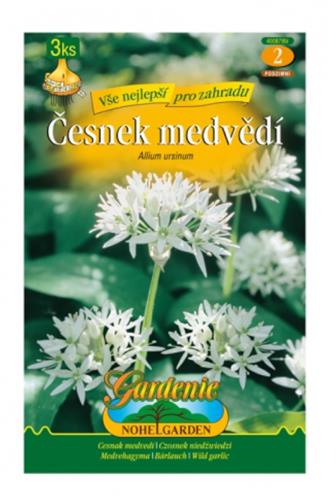 Česnek medvědí 3 ks