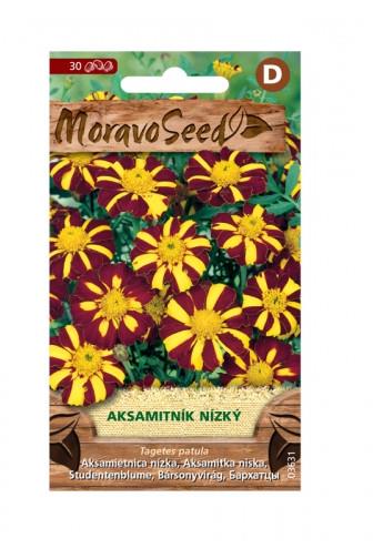 Aksamitník rozkladitý jednoduchý žlutý žíhaný 0,15g