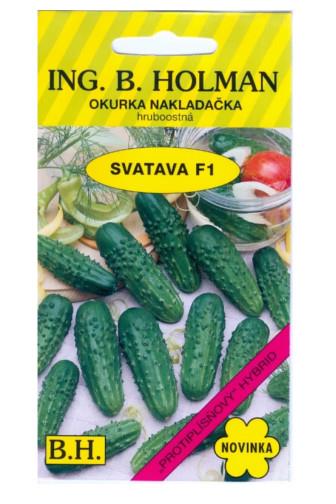 HOLMAN Okurka nakladačka hruboostná Svatava F1 2.5g