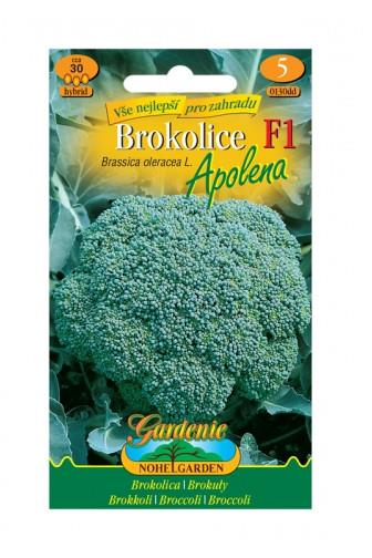 Brokolice Apolena F1 30 sem