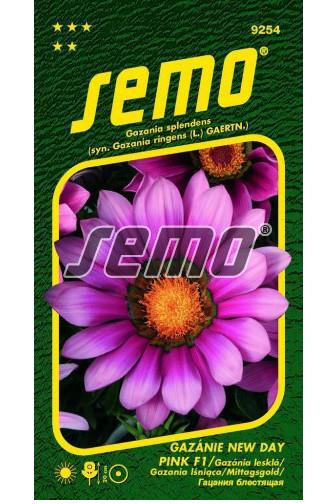 Gazánie pink F1 15 semen
