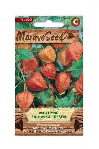 Mochyně židovská třešeň 75 semen