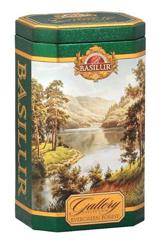 Basilur Gallery Evergreen Forest plech 100 g
