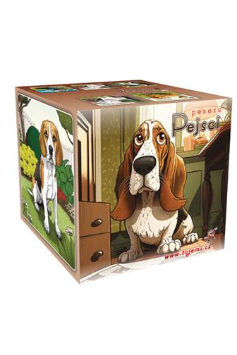 Pexeso box Pejsi