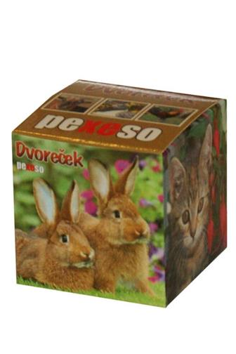Pexeso box Dvoreček
