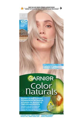 Garnier Color Naturals Ledová popelavá 103+
