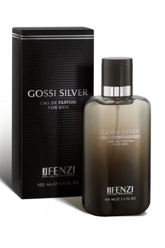 JFenzi Gossi Silver men EdP 100 ml