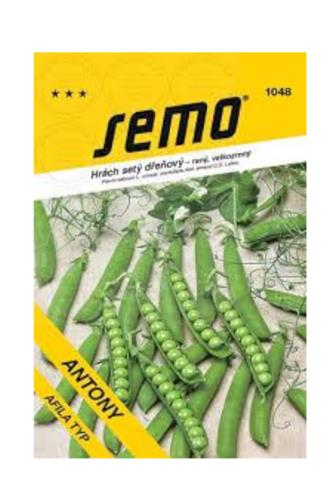 Hrách Antony ranný velkozrnný bezlistý 50 g